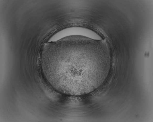 X0000088850073200706291505