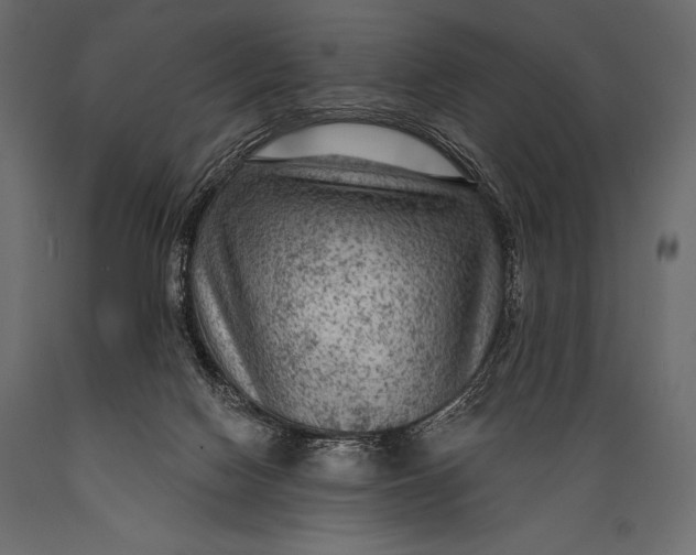 X0000088850074200706291505