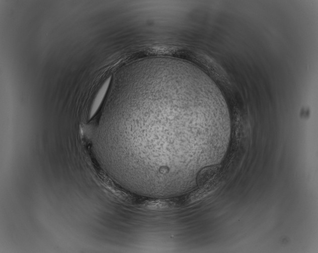 X0000088850075200706291505