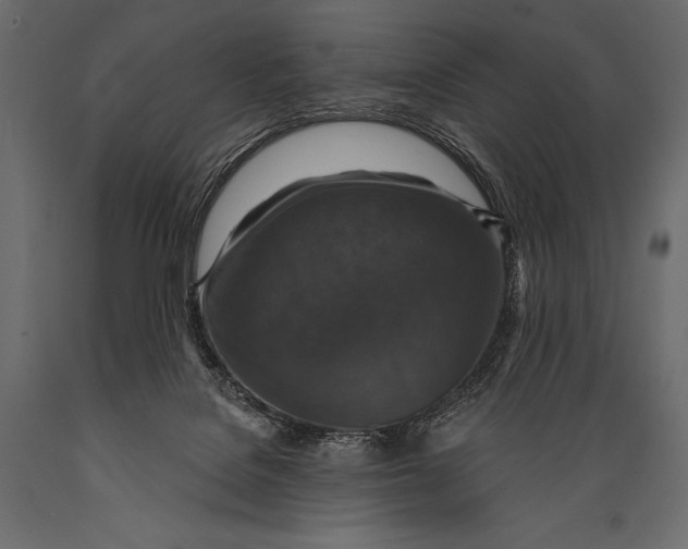 X0000088850076200706291505