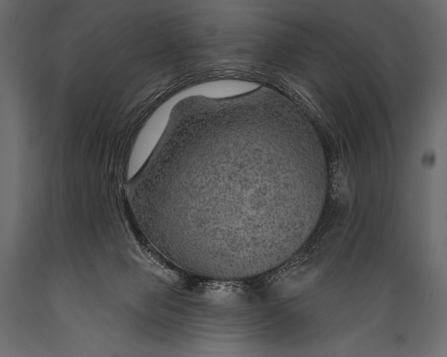 X0000088850077200706291505