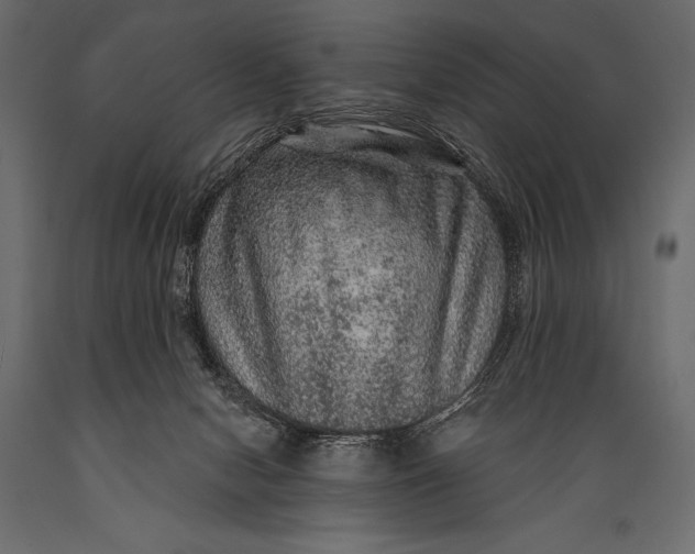 X0000088850078200706291505