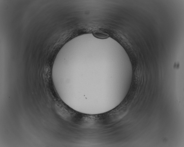 X0000088850079200706291505