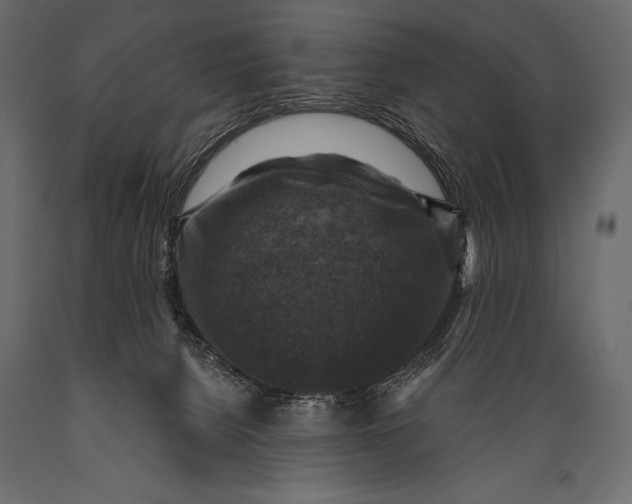 X0000088850080200706291505