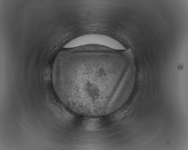 X0000088850081200706291505