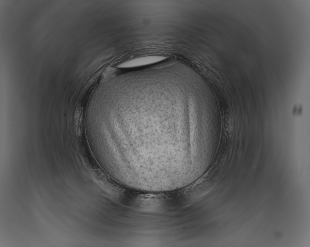 X0000088850082200706291505