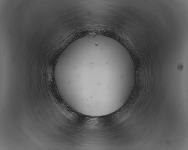 X0000088850083200706291505