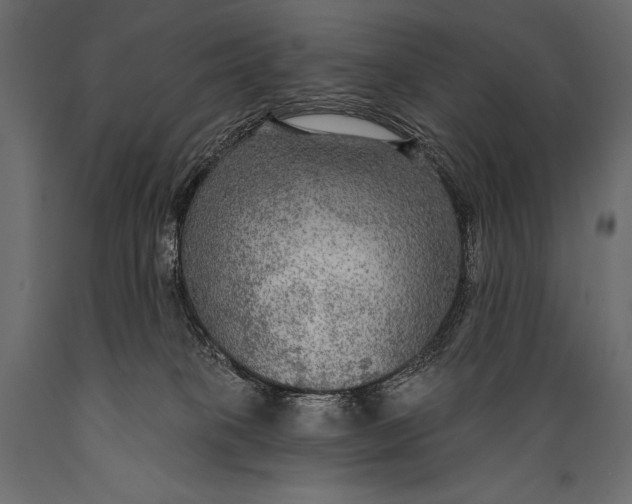 X0000088850085200706291505