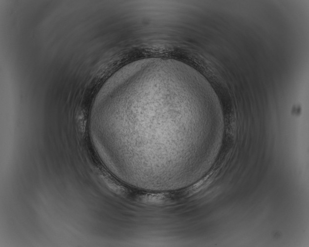 X0000088850086200706291505