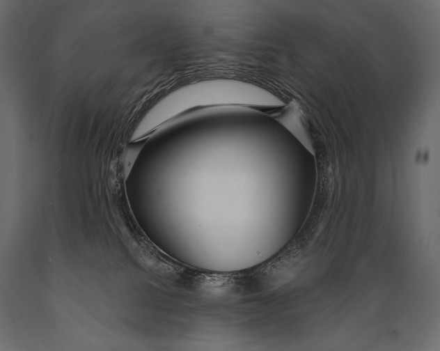 X0000088850088200706291505