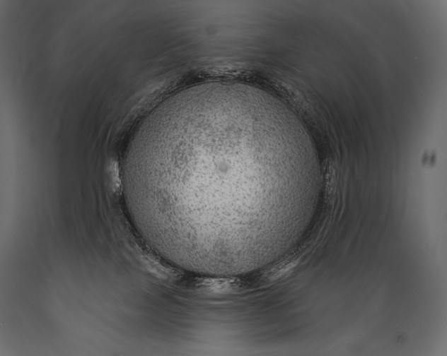 X0000088850089200706291505