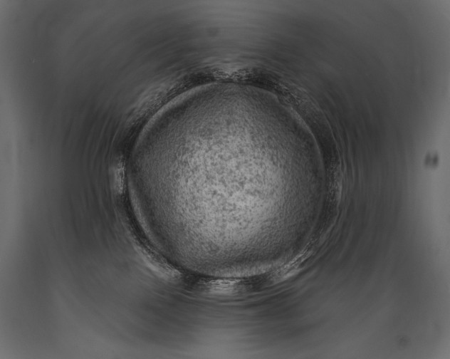 X0000088850090200706291505