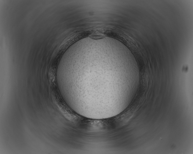 X0000088850091200706291505