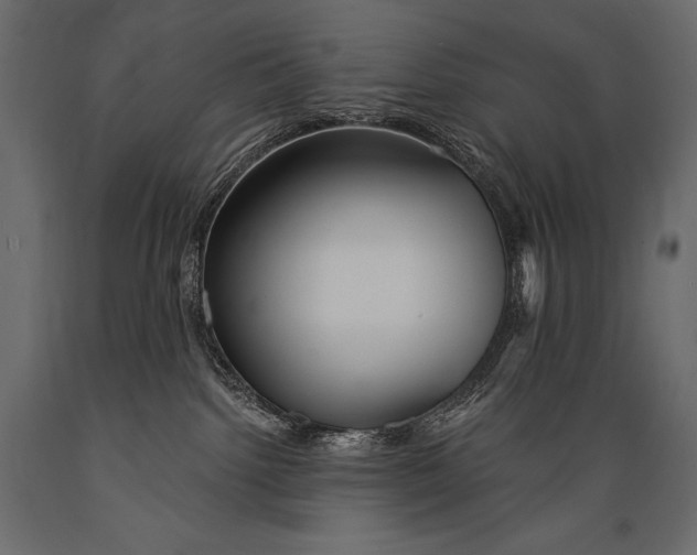 X0000088850092200706291505