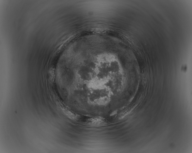 X0000088850093200706291505