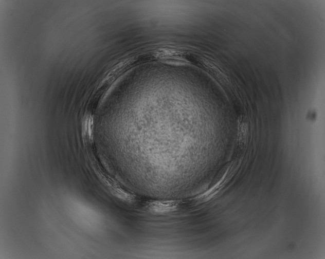 X0000088850094200706291505