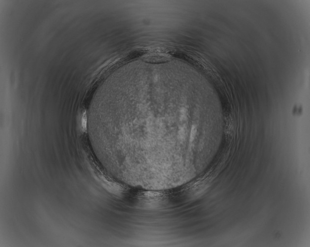 X0000088850095200706291505