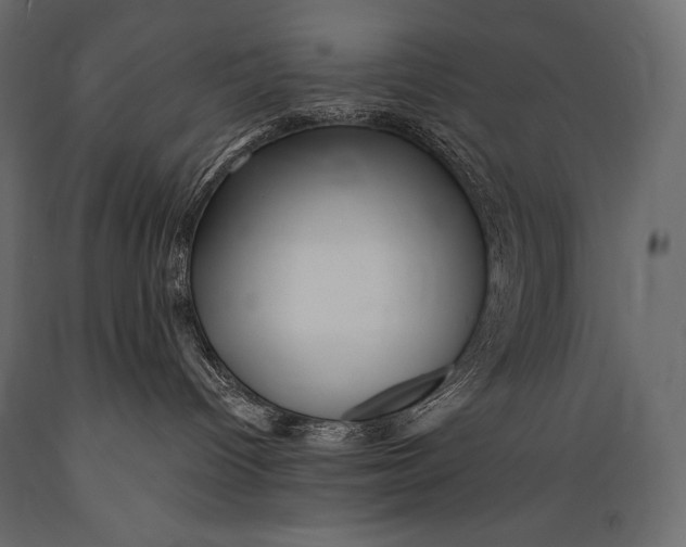 X0000088850096200706291505