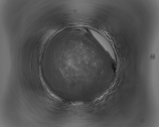 X0000088850097200706291504