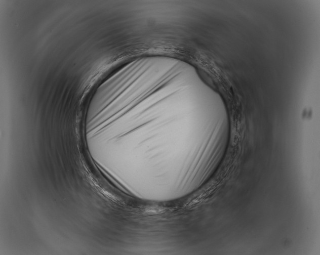 X0000088850098200706291504