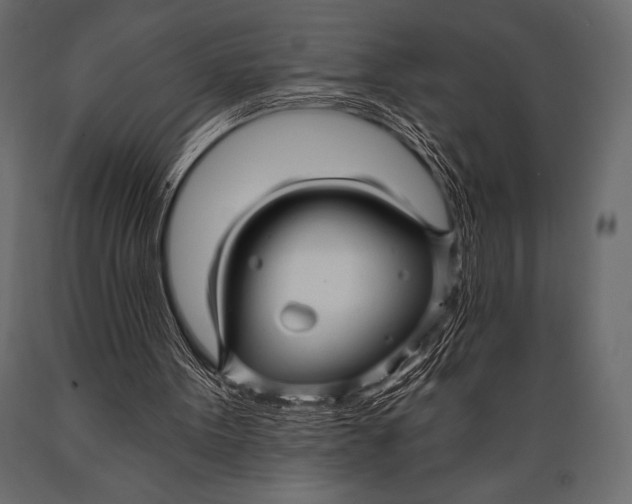 X0000088850099200706291504