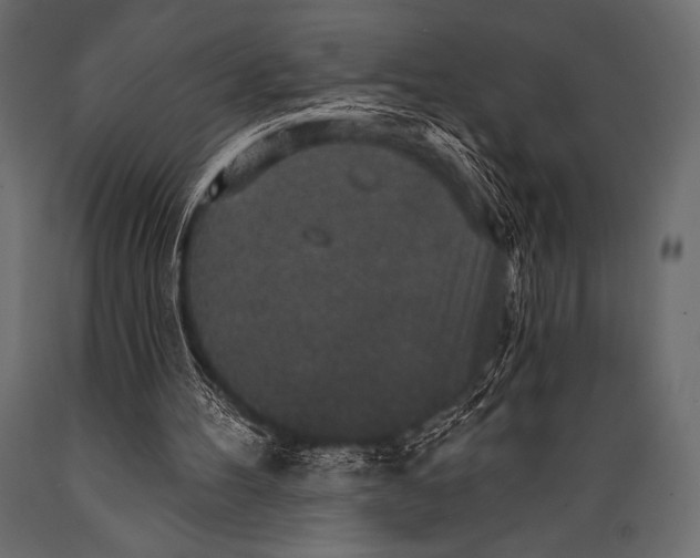 X0000088850100200706291504