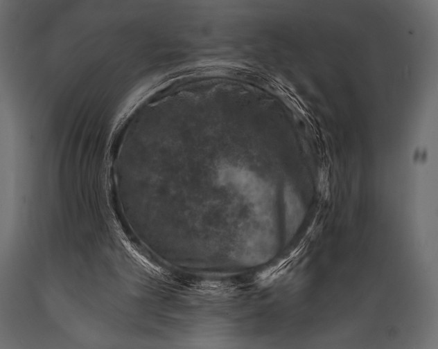 X0000088850101200706291504