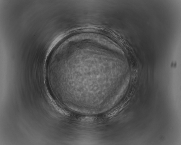 X0000088850102200706291504