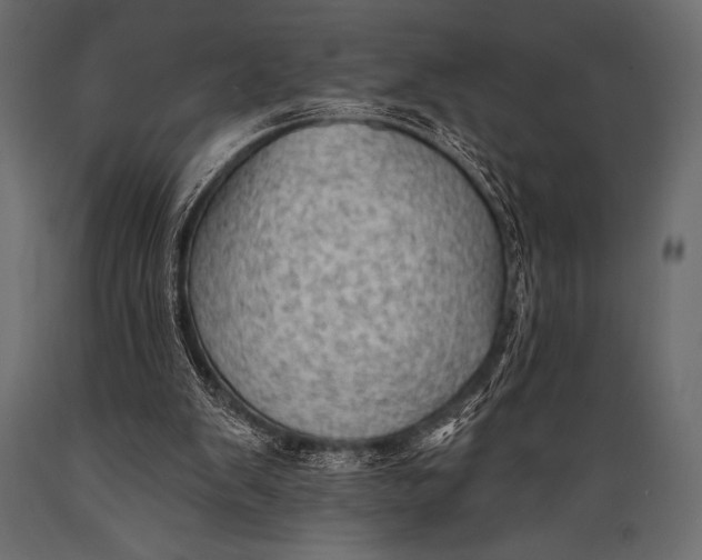 X0000088850103200706291504