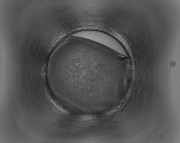 X0000088850105200706291504