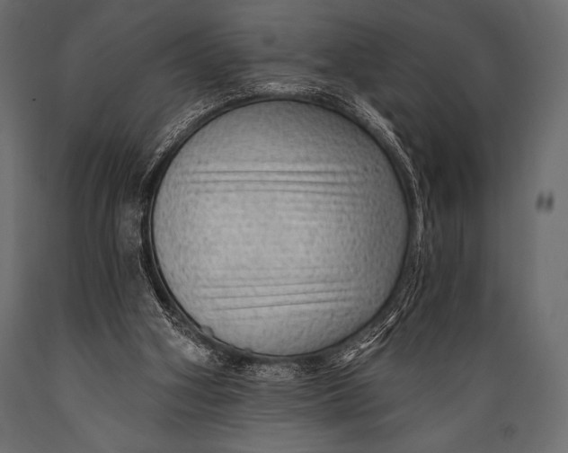 X0000088850106200706291504