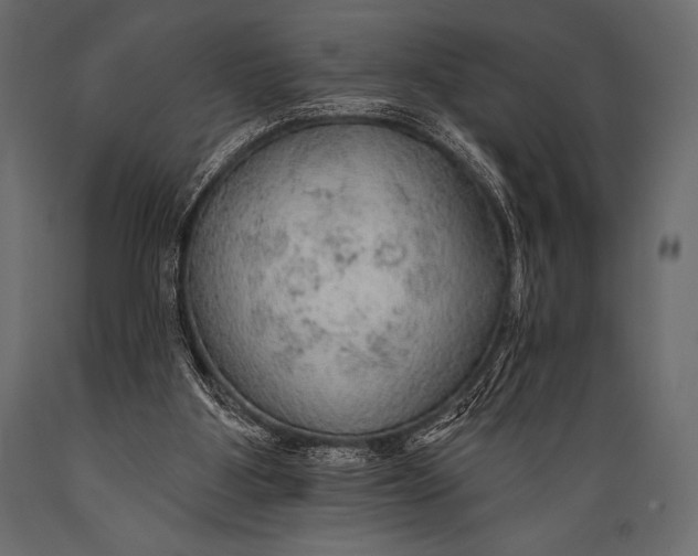 X0000088850107200706291504