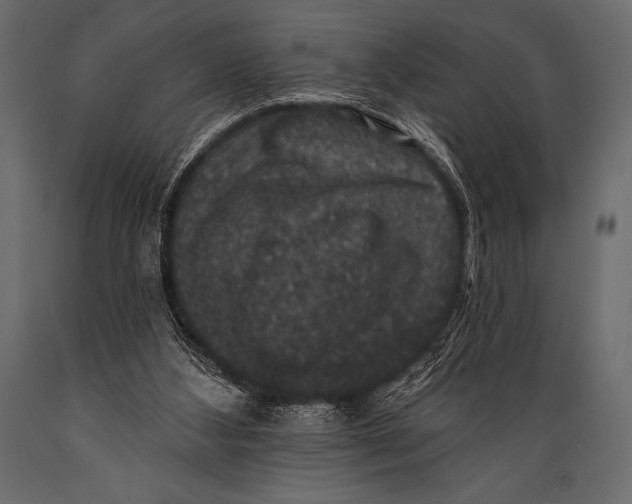 X0000088850108200706291504