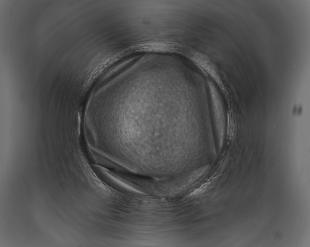 X0000088850109200706291504