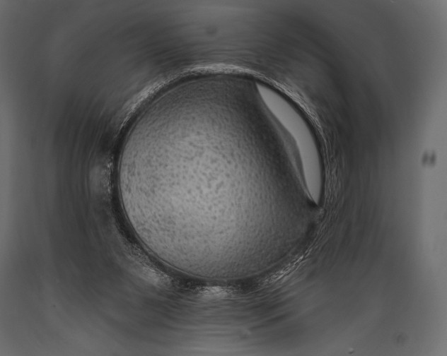 X0000088850111200706291504