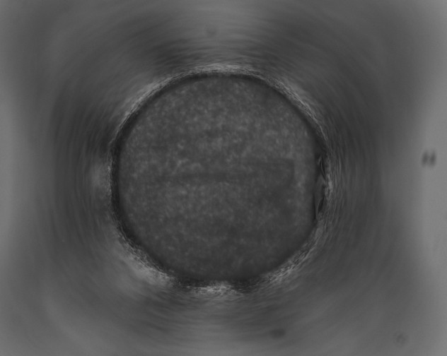 X0000088850112200706291504