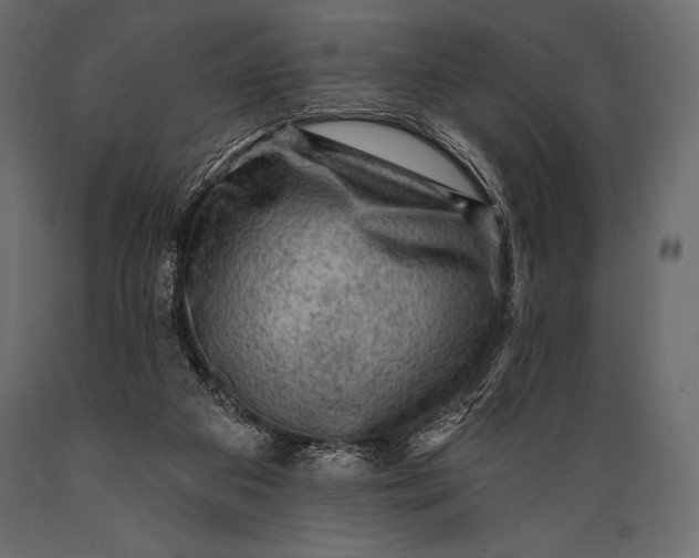 X0000088850113200706291504