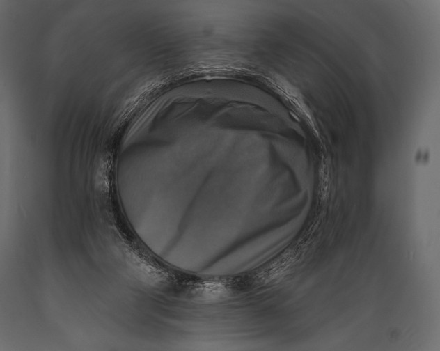 X0000088850114200706291504