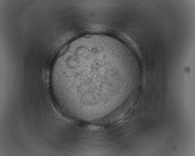 X0000088850115200706291504