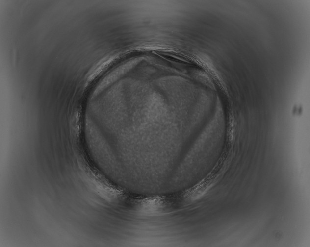 X0000088850116200706291504