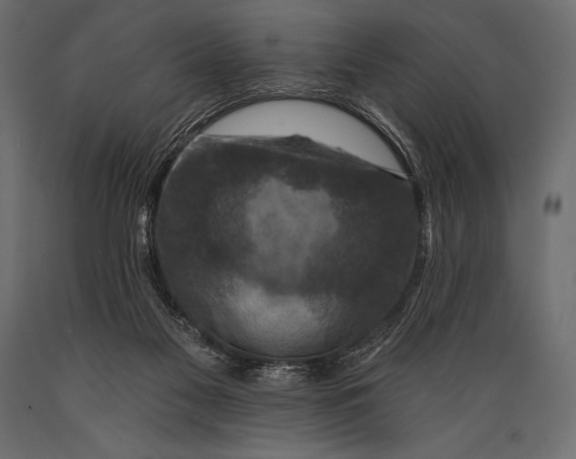 X0000088850117200706291504