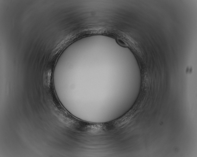 X0000088850118200706291504