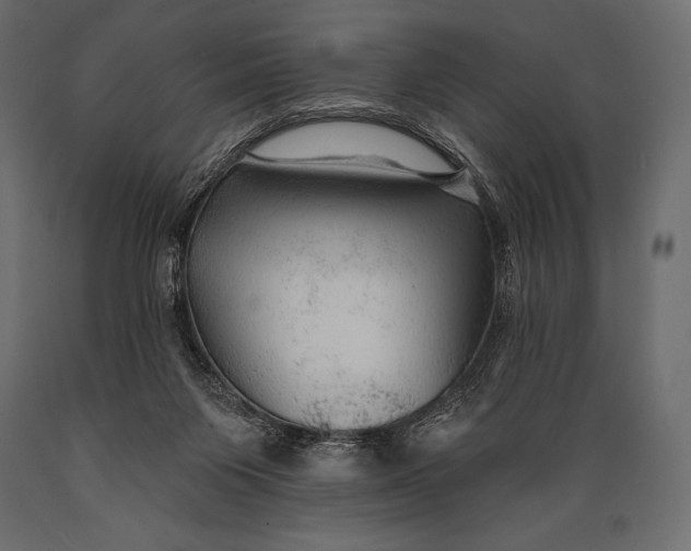 X0000088850119200706291504