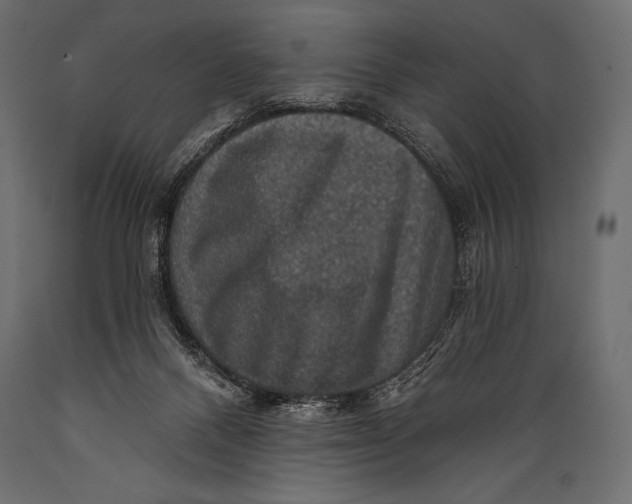 X0000088850120200706291504