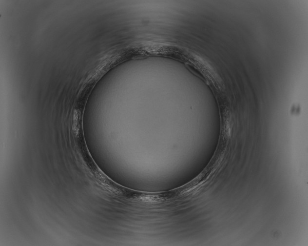 X0000088850121200706291504