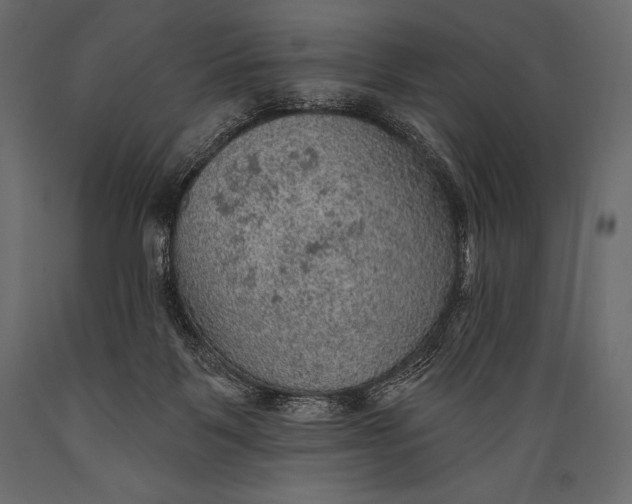 X0000088850123200706291504