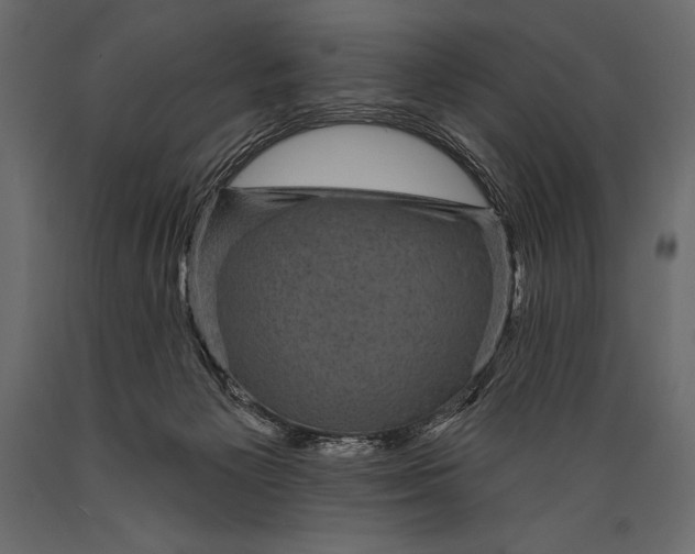 X0000088850125200706291504