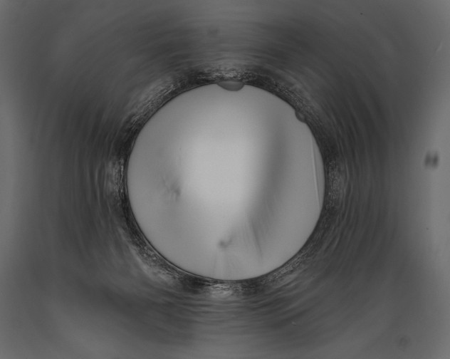 X0000088850126200706291504