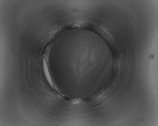 X0000088850127200706291504