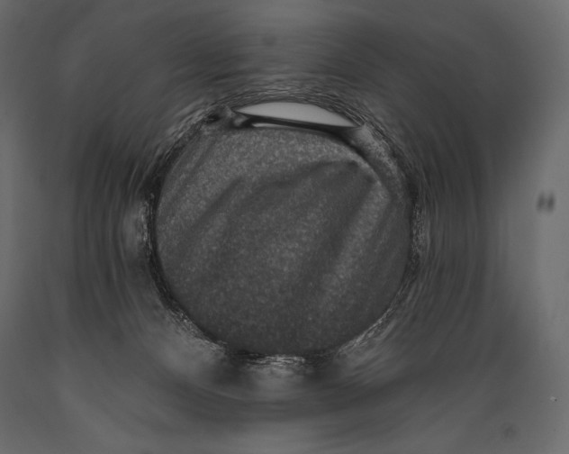 X0000088850128200706291504